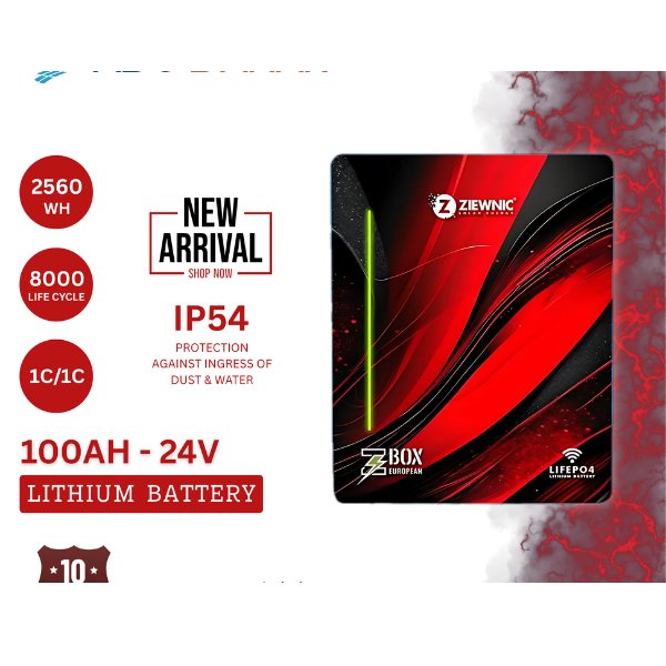 ZIEWNIC Lithium Battery-100AH-24V